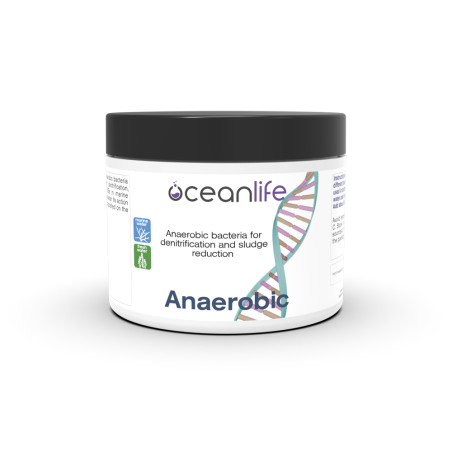 Anaerobic